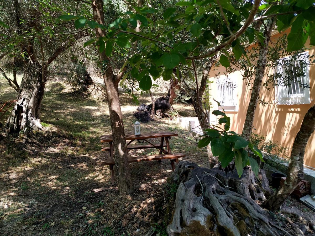 Velonádes Family Holiday Apartment With Garden & Bbq מראה חיצוני תמונה