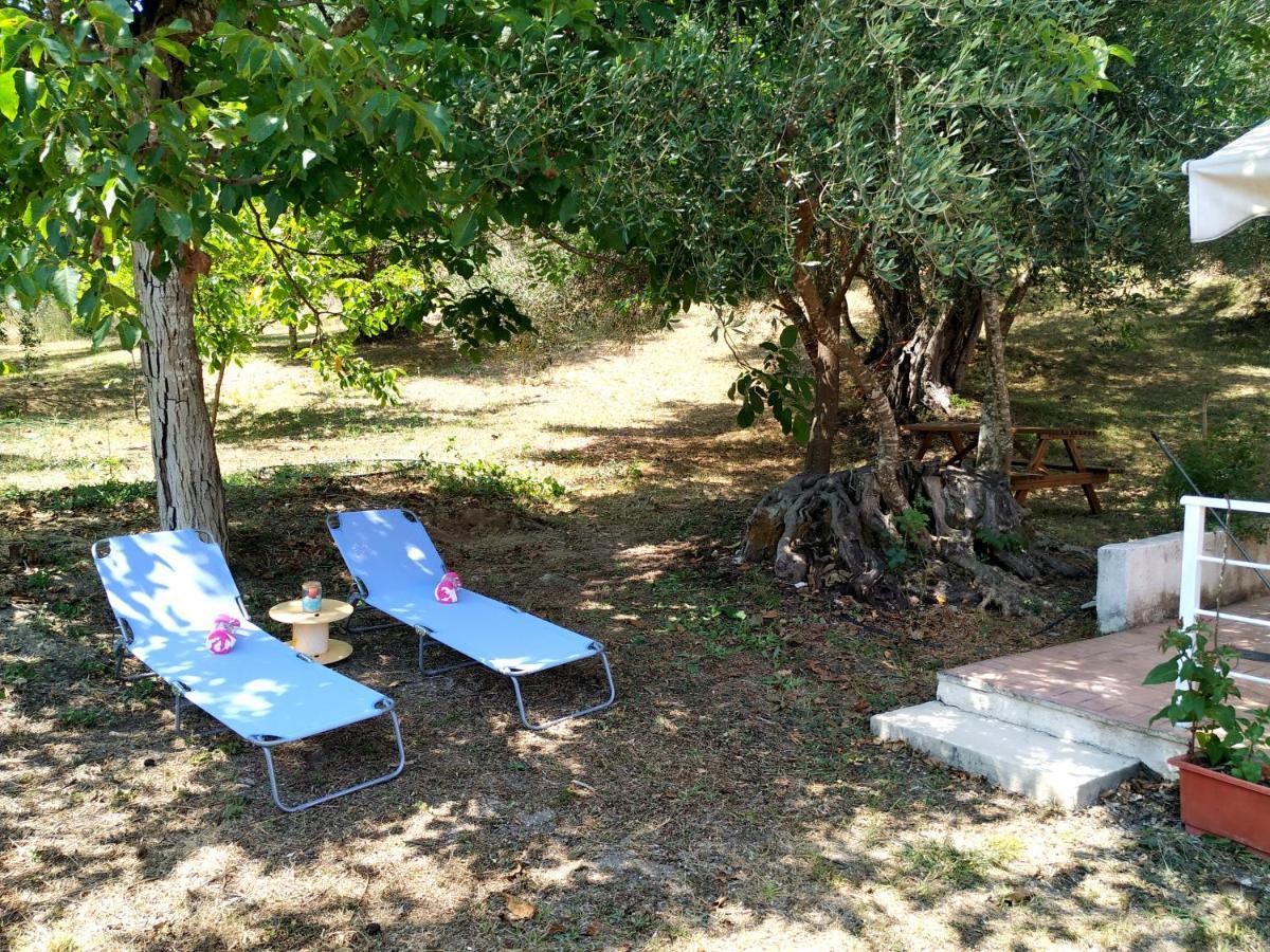 Velonádes Family Holiday Apartment With Garden & Bbq מראה חיצוני תמונה